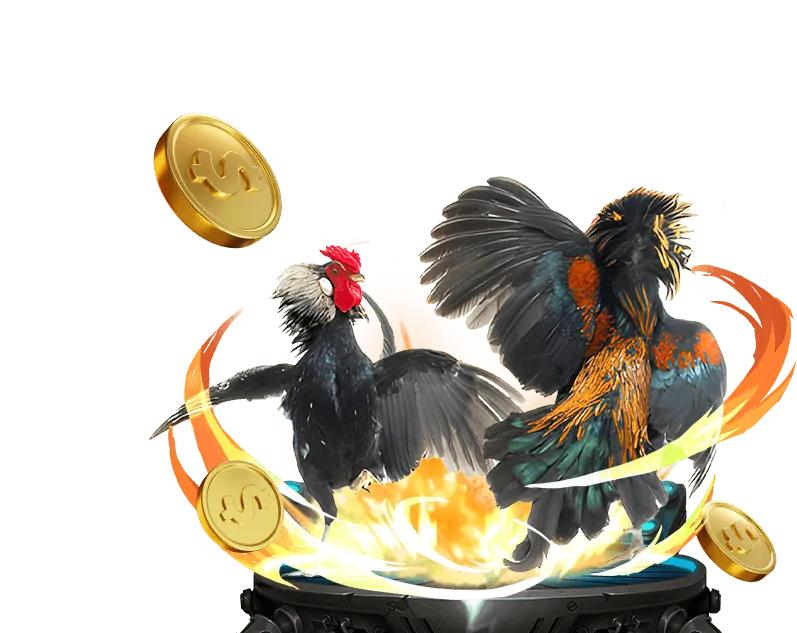 Hình ảnh đá gà trực tuyến trường đấu E88 Game